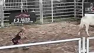 Correndo atrás do boi
