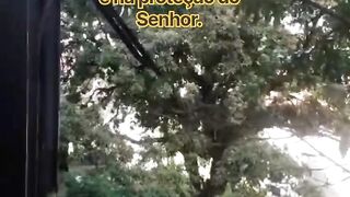 A Palavra de Deus.