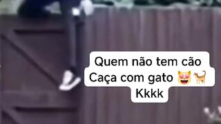 Cuidado , gato bravo