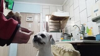 HORA DO RUSH