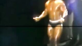Animal 86