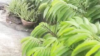 Ag...ed Gmail B...u/////////y/S..e/ll | 20...26 Gmail Ac.co/////unts B,,,u.yi/ng Guide