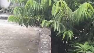 36 Easy W........ays to Bu/////////...........y Old Yahoo A.....cco.u.......nts Sm..artl...y end...