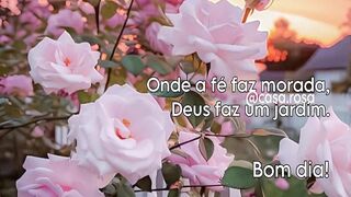 Bom dia 17