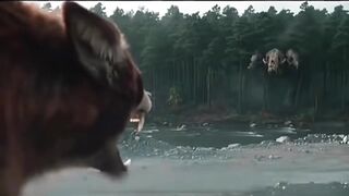 A GRANDE luta dos Animais