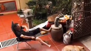 Man vs dog fight 🫯