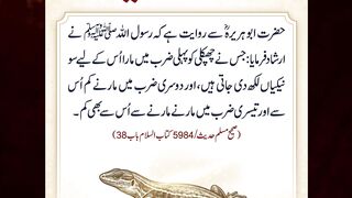 Chipkali Marne Ka Sawab | Islamic Story #Shorts