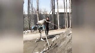 😂 TRY NOT TO LAUGH! 😂