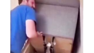 cat helping