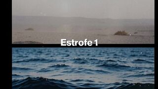 Não se desespere