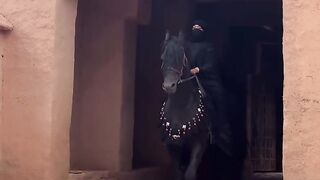 Lacavalierelegante