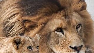 King 👑 and Prince..