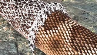 Snake Ki Poonch Kyun Bajti Hai?   #SnakeFacts #AnimalFacts #AmazingFacts #HindiFacts #Shorts