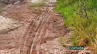 Caçando