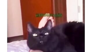 O boxe