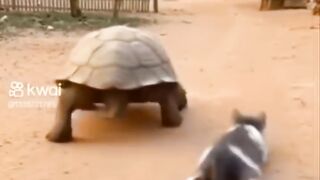 Igualzinho