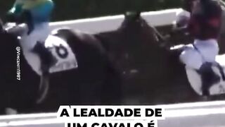 Um laço de amor