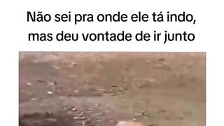Pra onde ele vai