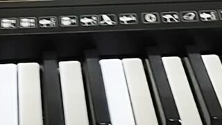 Mxt m-t4500