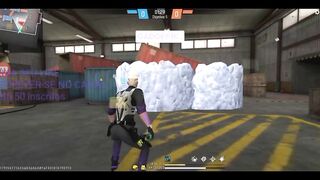 Highlights SX gado