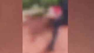 Bizarre News #BizarreNews #Viral 83