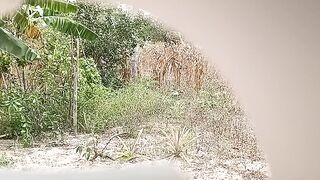 Natureza 1
