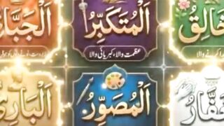 Ali mola 6