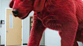 Clifford The Big Red Dog - Heartwarming Movie Moment 🐶