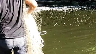 Casting nets into small rivers can catch big catfish