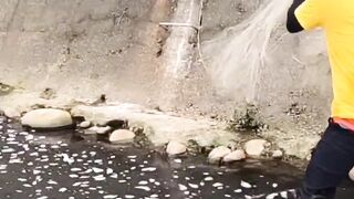 Got a group of big fish in the fishing net under the dam