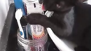 Pet 😍😄