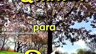 Mensagem de Deus 2