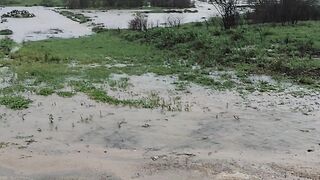 Tsunami 4