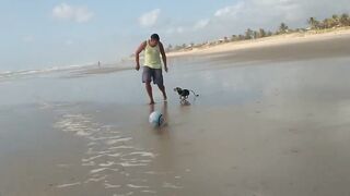 Ataque do cão raivoso