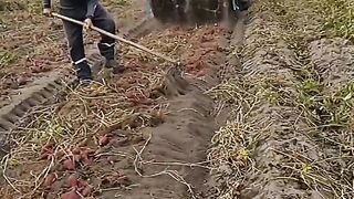 Agro não para🪵🌄🔥