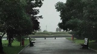 Why Does Rain Smell So Good?