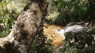 NATUREZAS DO BRASIL