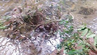Natureza 12