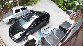 #viral tiktok rewind  . Most Funny video