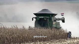 The agricultural world in Paraguay is under pressure.