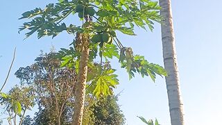 O céu declara a tua glória ô Deus.