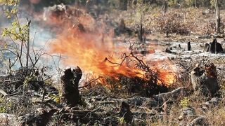 BURNINGS 1