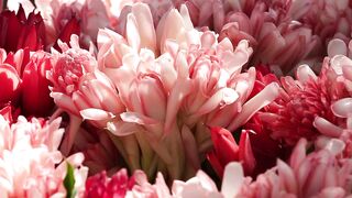 FLOWER PORCELAIN ROSE 1
