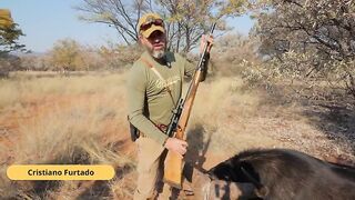 Troublesome buffalo Cris Hunt