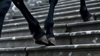 BLACK KNIGHT IN THE CATHEDRAL