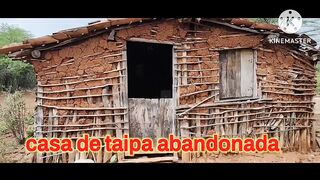 Casa de tripa