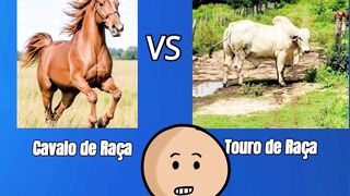 Qual você Prefere?