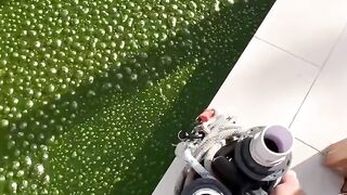 Clear terapy satisfying .