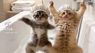 Funny Cats Dance 2