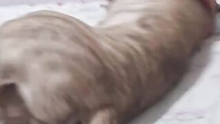 Desafio aceito 2